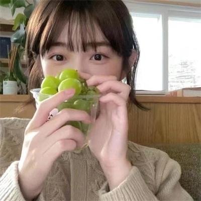 狮子王们的夏天